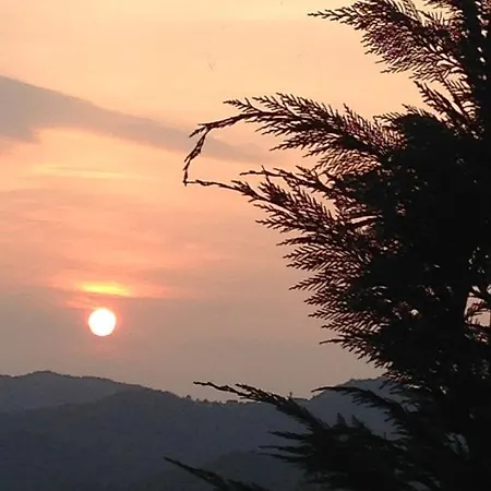 Il Sogno 3*